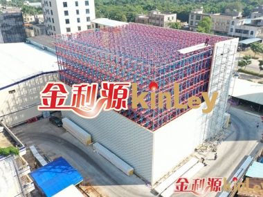 庫(kù)架一體式貨架/四向穿梭車(chē)立體智能倉(cāng)庫(kù)/冷鏈物流倉(cāng)